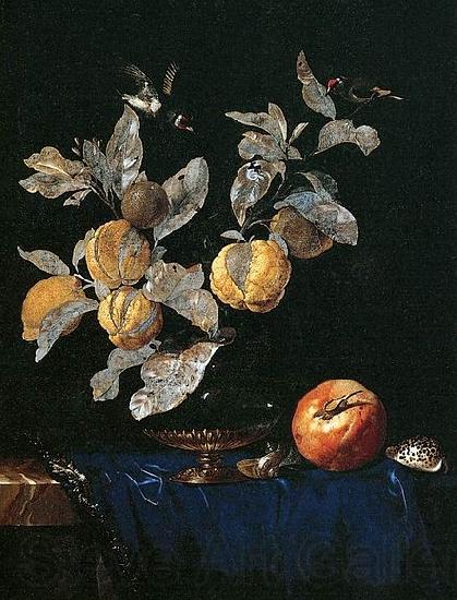 Aelst, Willem van with Fruit Norge oil painting art